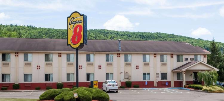 悉尼纽约州温德姆速8酒店(Super 8 by Wyndham Sidney NY)图片