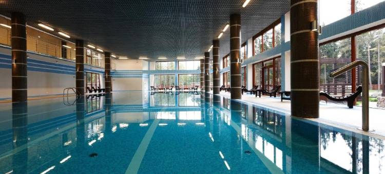 瑞皮诺阿兹姆公园 Spa 酒店(Azimut Park Hotel& Spa Repino)图片