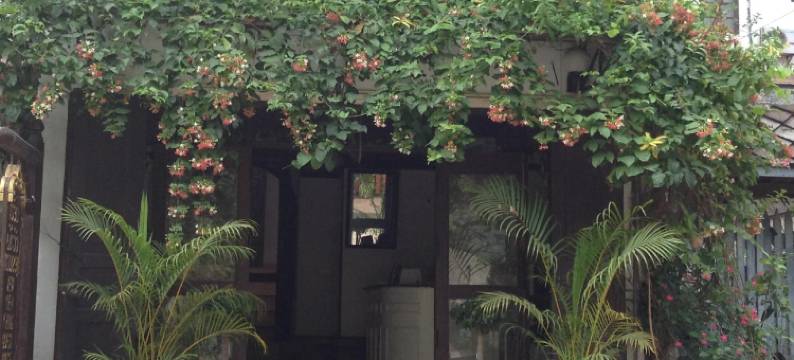 清孔景观旅馆(View Khemkhong Guesthouse)图片