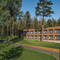 Lesnaya Lastochka