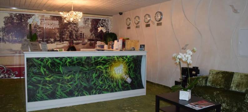 Petrovskij Passazh Hotel图片