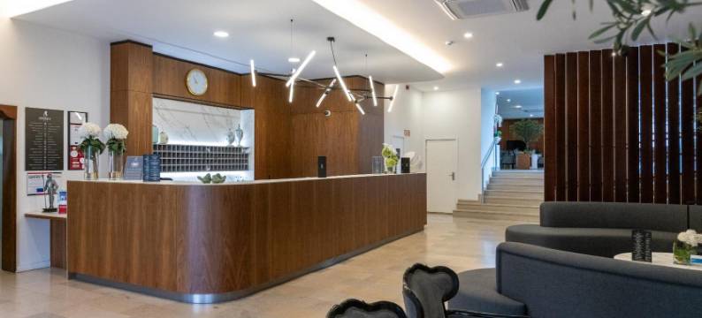 阿丰威酒店(Hotel Afonso V & Spa)图片