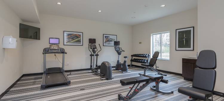 Candlewood Suites 米沙沃卡(Candlewood Suites Mishawaka)图片