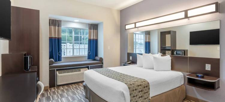 布鲁克斯维尔温德姆麦客达套房酒店(Microtel Inn & Suites by Wyndham Brooksville)图片