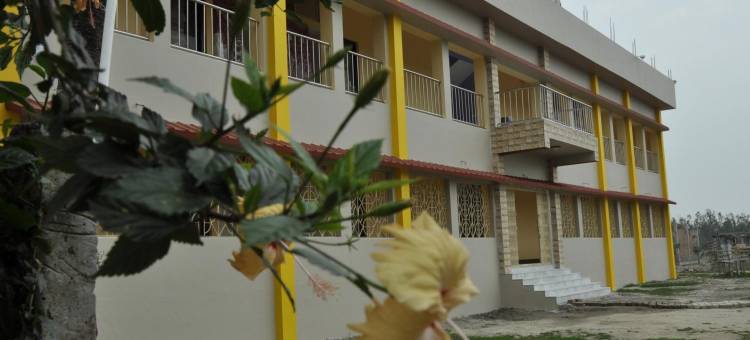 独居的巴诺(Solitary Nook)图片