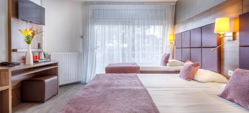 维克多里普兰酒店(Hotel Victorie)图片