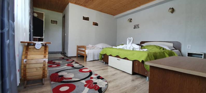 克里斯蒂娜丽城酒店(Belvedere la Cristina)图片