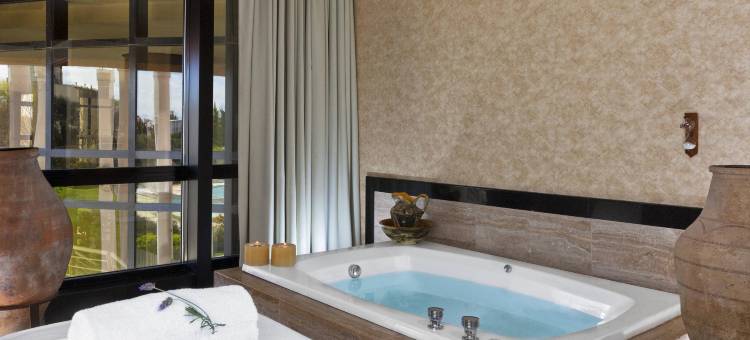 马德普拉塔喜来登酒店(Sheraton Mar del Plata Hotel)图片