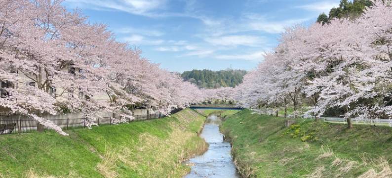 纳马斯特旅馆(Guesthouse Namaste)图片