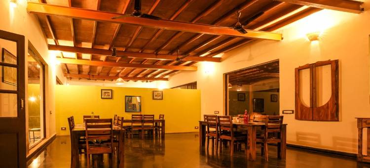 马胡阿托拉塔多巴(Mahua Tola Tadoba)图片