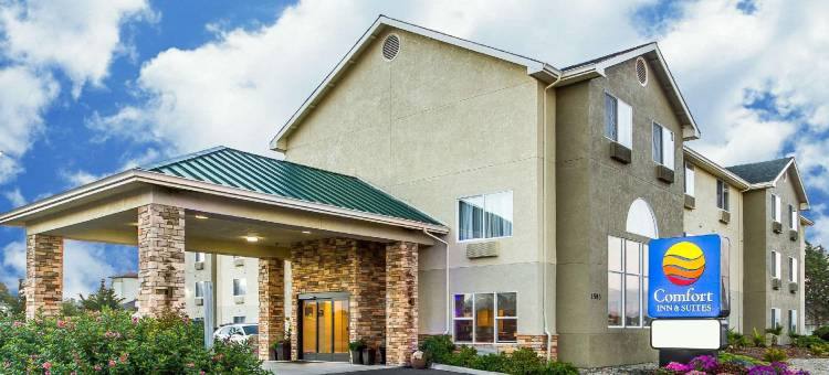 红木国家舒适套房酒店(Comfort Inn & Suites Redwood Country)图片