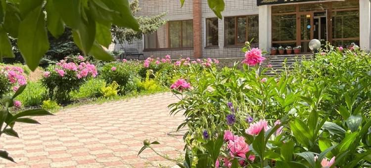 绿洲酒店 - 旅舍(Oasis Hotel - Hostel)图片