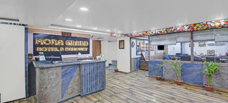 Treebo Mona Grand图片