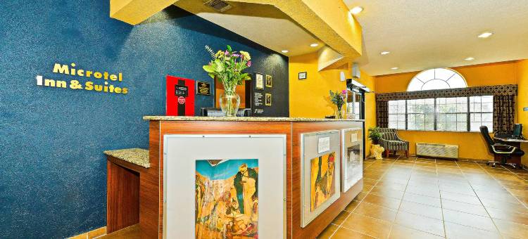 纽布朗费尔斯温德姆麦客达套房酒店(Microtel Inn & Suites by Wyndham New Braunfels)图片