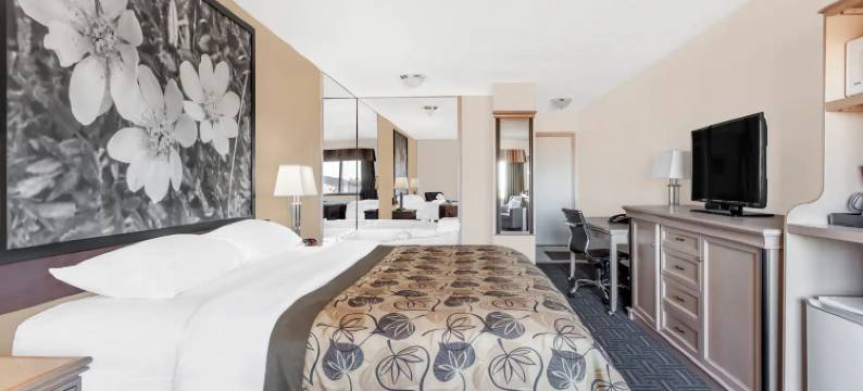 斯泰特勒速8酒店(Super 8 by Wyndham Stettler)图片