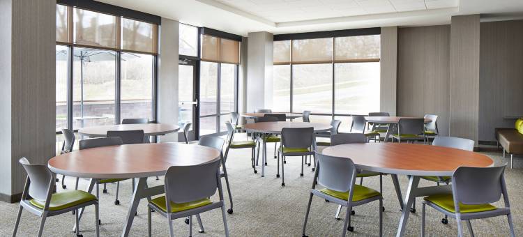 哥伦布/都柏林SpringHill Suites酒店(SpringHill Suites Columbus Dublin)图片