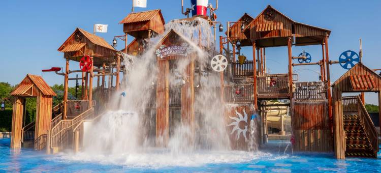 盖洛德德克萨斯度假酒店及会议中心(Gaylord Texan Resort & Convention Center)图片