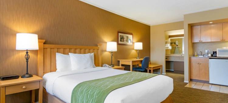 北温哥华凯富套房酒店(Econo Lodge Inn & Suites - North Vancouver)图片