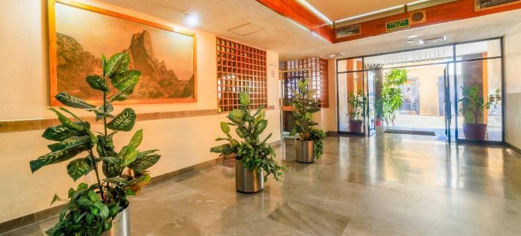 OYO 希达尔戈酒店(OYO Hotel Hidalgo)图片