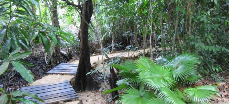 Nomad Divers Bangka图片