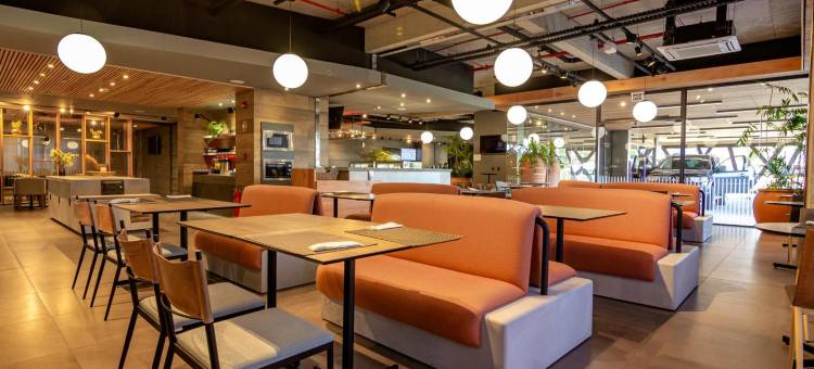 克里西玛诺富特酒店(Novotel Criciuma)图片