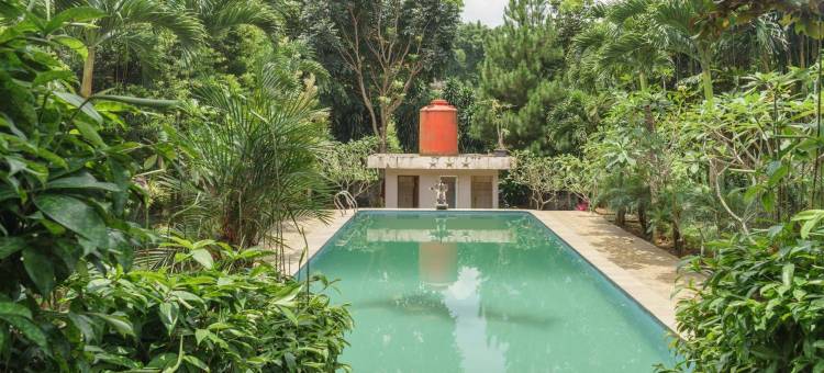 瑞德多兹普拉斯酒店 @ 洛达亚古农格力斯山(RedDoorz Plus @ Lodaya Gunung Geulis Puncak)图片