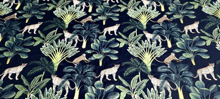 MOM-达尔文YHA住宿(Mom Darwin)图片