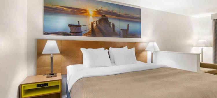 品质酒店及套房迪凯特 - 普莱斯维尔 I-65(Quality Inn & Suites Decatur Priceville I-65)图片