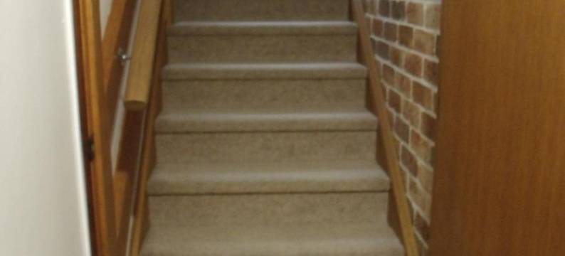 翡翠热带棕榈住宿加早餐旅馆(Emerald Tropical Palms B & B)图片