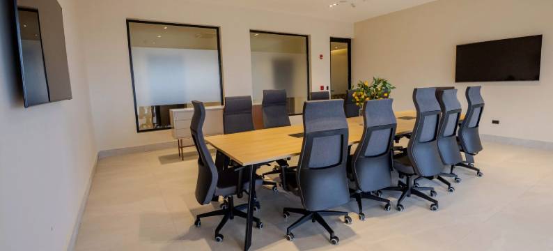 洲际酒店假日酒店普拉塔港-科弗雷西湾区(Holiday Inn PUERTO PLATA-COFRESI BAY AREA by IHG)图片