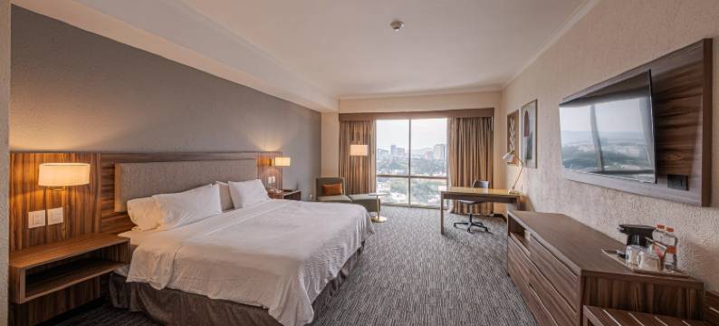 Holiday Inn 瓜达拉哈拉(Holiday Inn GUADALAJARA SELECT by IHG)图片