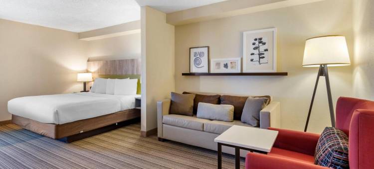亚特兰大广场棒球场丽怡酒店(Country Inn & Suites by Radisson, Atlanta Galleria/Ballpark, GA)图片