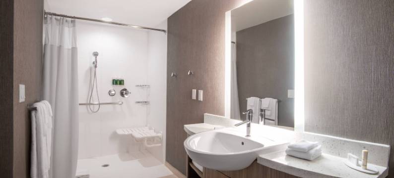 丹佛帕克万豪SpringHill Suites酒店(SpringHill Suites Denver Parker)图片