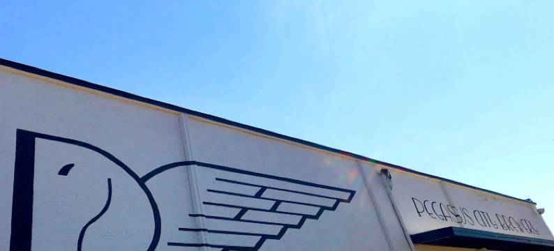 达拉斯万丽酒店(Renaissance Dallas Hotel)图片