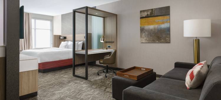 费城西切斯特埃克东万豪SpringHill Suites酒店(SpringHill Suites Philadelphia West Chester/Exton)图片
