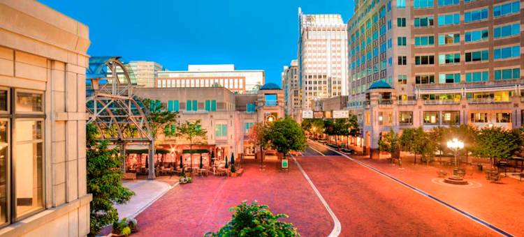 赫恩登雷斯顿万豪SpringHill酒店(SpringHill Suites Herndon Reston)图片