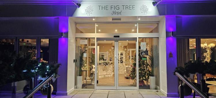 无花果树尚克林酒店(The Fig Tree Shanklin)图片