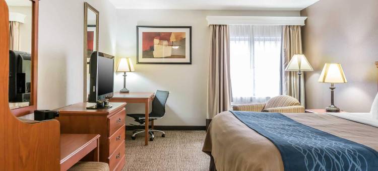 市中心-大学区舒适酒店(Comfort Inn Downtown - University Area)图片