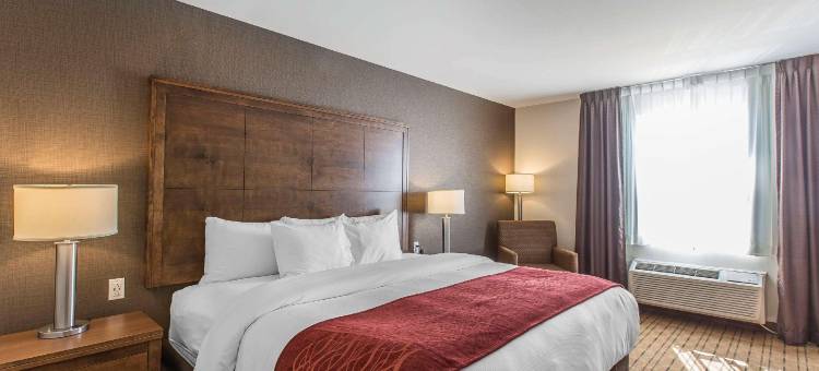 舒适酒店(Comfort Inn - Gander)图片