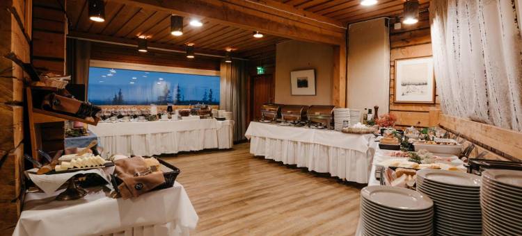 帕拉斯拉普兰酒店(Lapland Hotels Pallas)图片