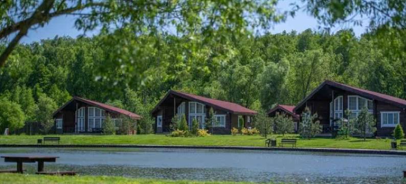 扎维多诺假日公园(Country Hotel Zavidnoe)图片