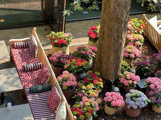 高达孤儿院旅馆&城堡