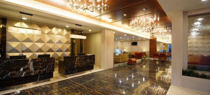 海豚酒店(Dolphin Hotel)图片