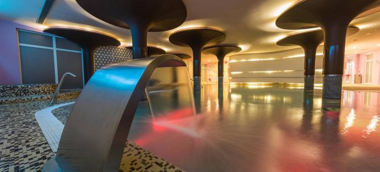 阿尔瓦赛特比特里兹酒店(Hotel Palacio Albacete & Spa)图片