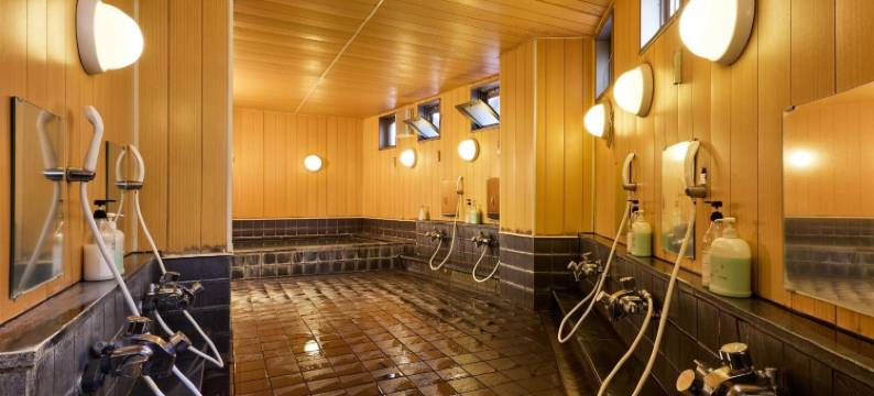 若水酒店(Hotel Wakamizu)图片