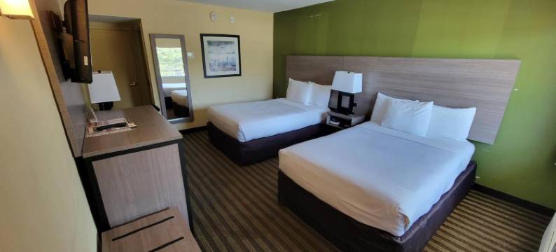 凯艺酒店-弗拉明戈(Quality Inn Flamingo)图片