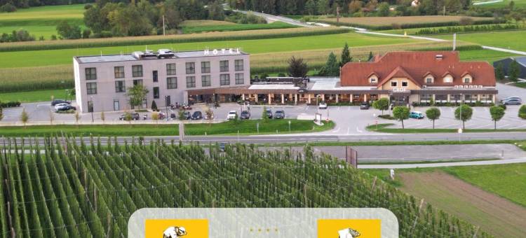 Grof酒店(Hotel Grof)图片