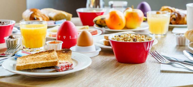 沙托鲁代奥尔艾斯酒店(Ace Hotel Chateauroux Déols)图片