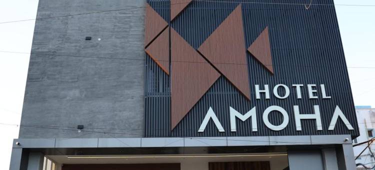 阿莫哈酒店(Hotel Amoha)图片