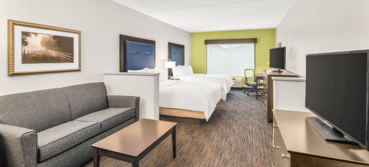智选假日套房酒店威尔明顿，纽华克(Holiday Inn Express & Suites Wilmington-Newark)图片